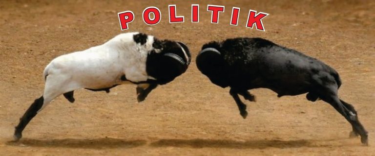 POLITIK ADU DOMBA,NAMIMAH