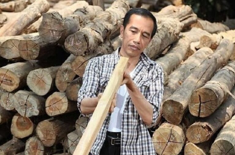 MULYONO TUKANG MAIN KAYU
